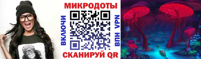 Псилоцибиновые грибы Psilocybine cubensis  наркотики  KRAKEN ссылки  Олонец 