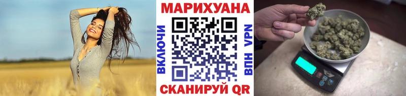 Каннабис семена  где можно купить наркотик  Олонец 